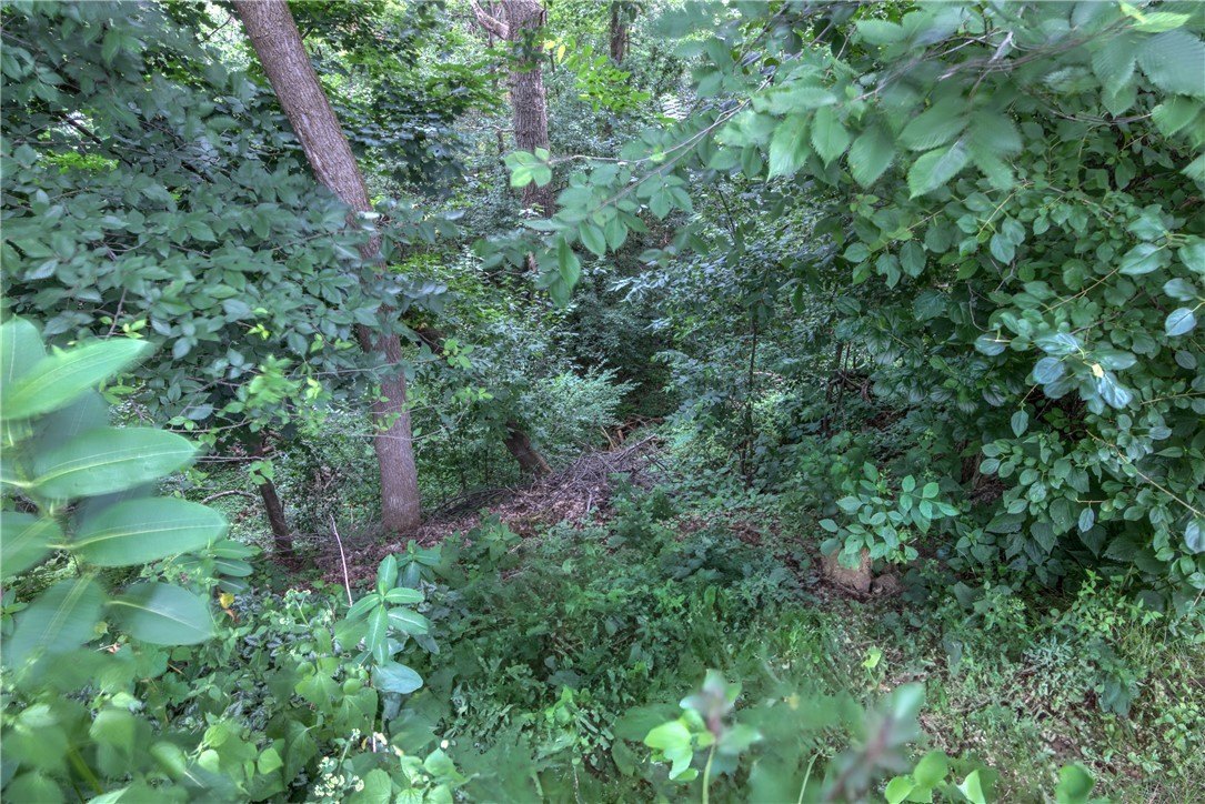 Wooded Lot in Chippewa Falls