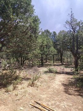 Land, Tijeras, NM