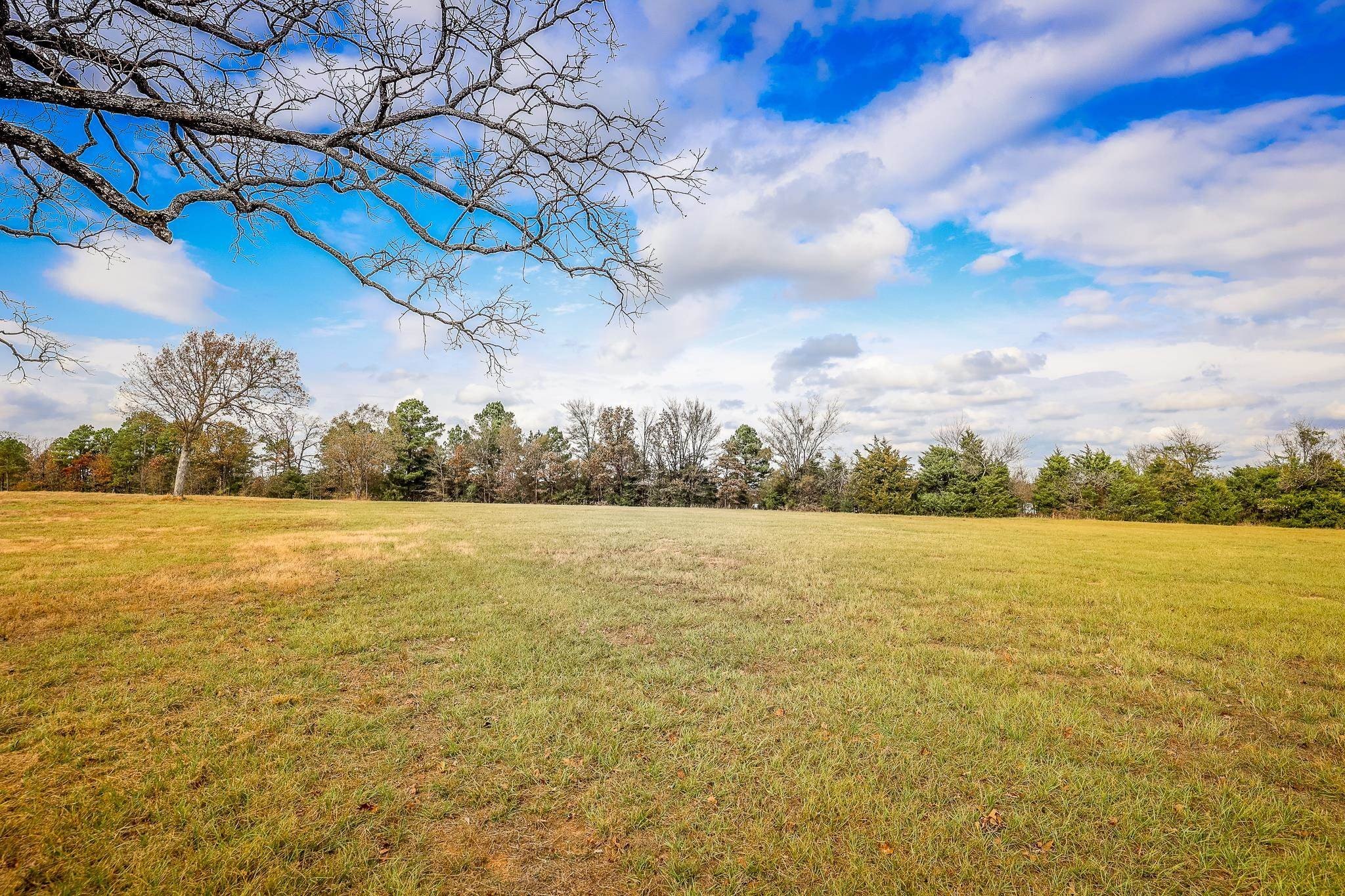 Improved Pasture Land Near Tyler