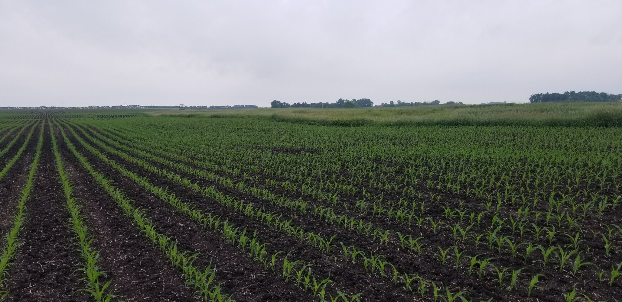 Prime Farmland Investment Opportunity
