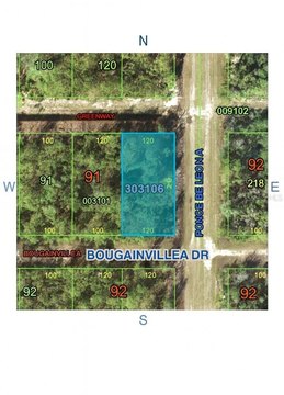 Vacant Land in Lake Community