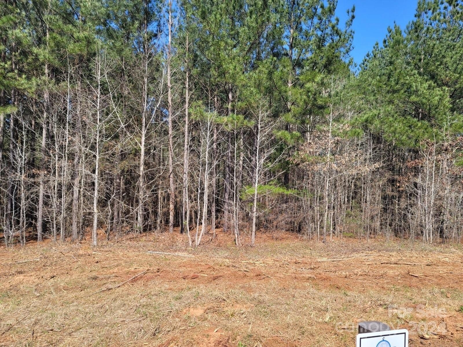Lake Secession Corner Lot