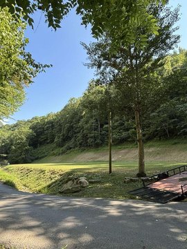 Newly Cleared Buildable Land Parcel