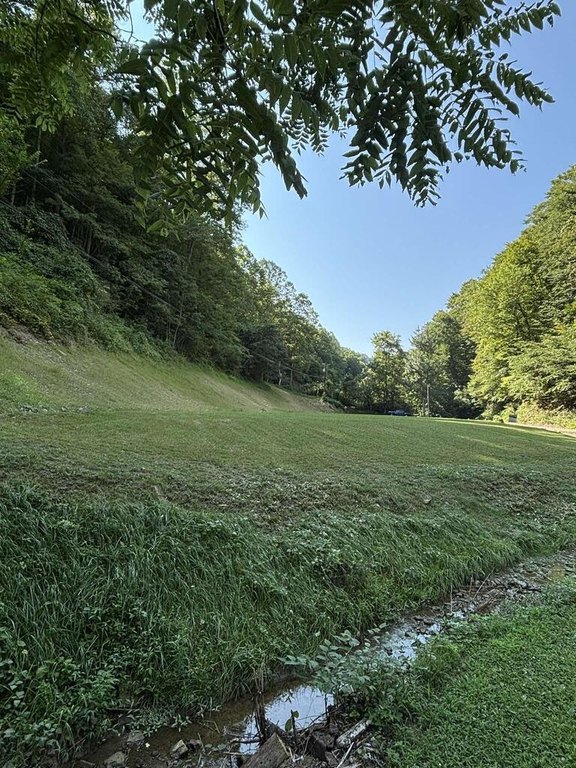 Picture 3