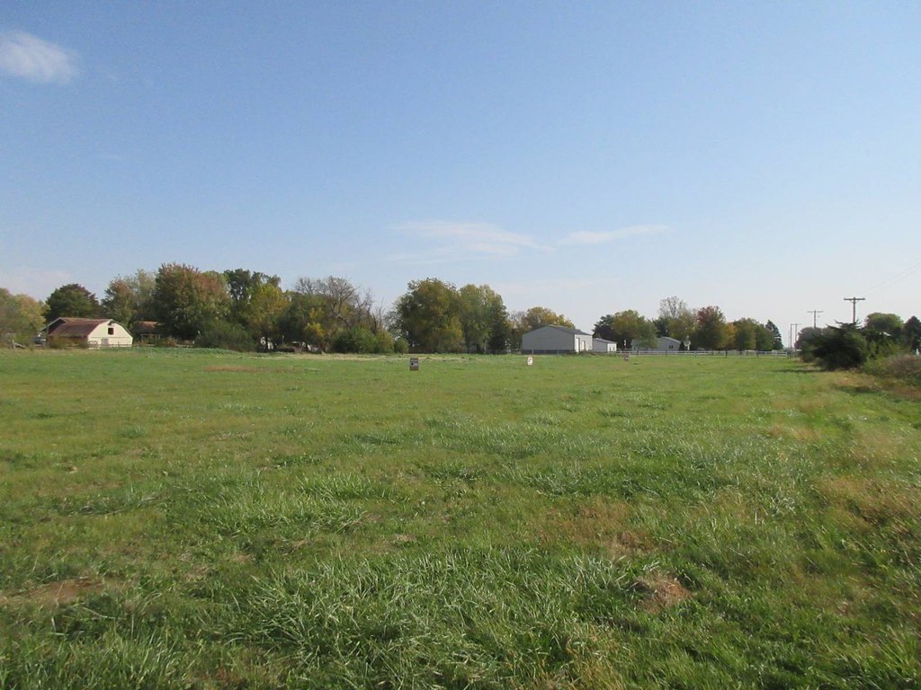 Picture 6