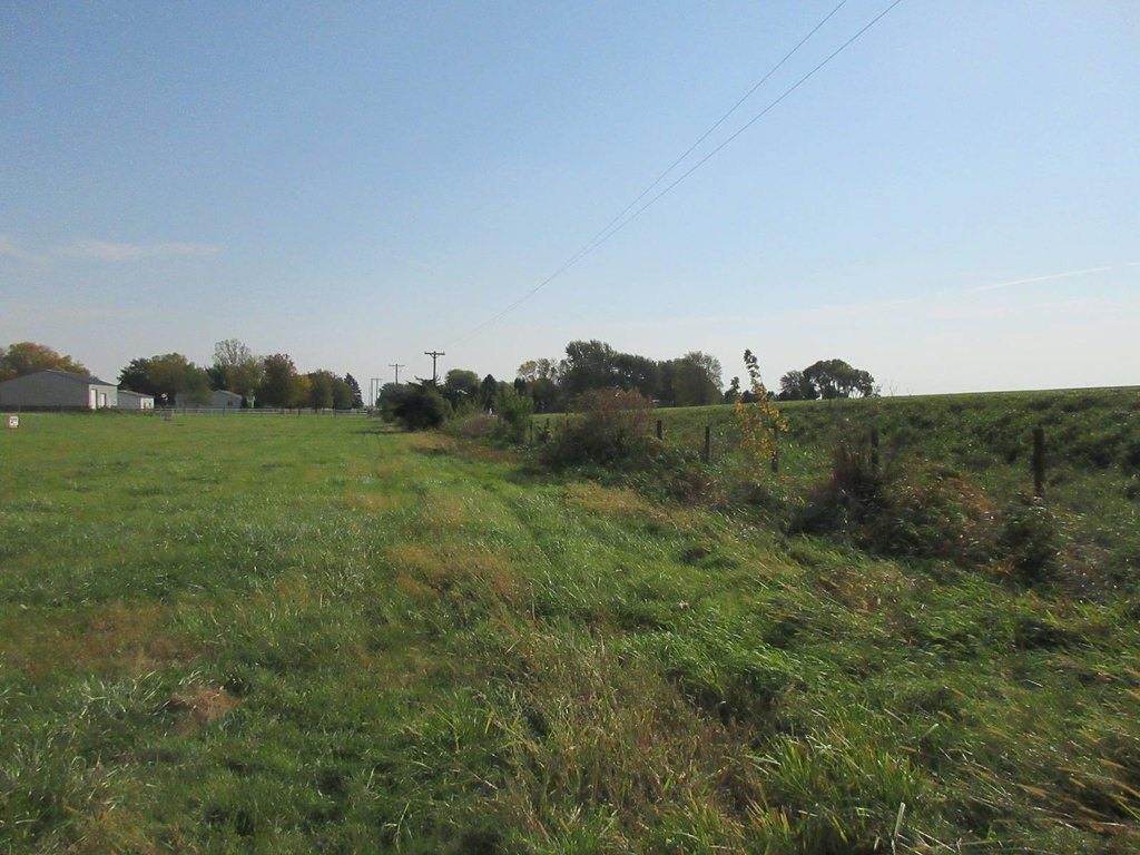 Picture 8