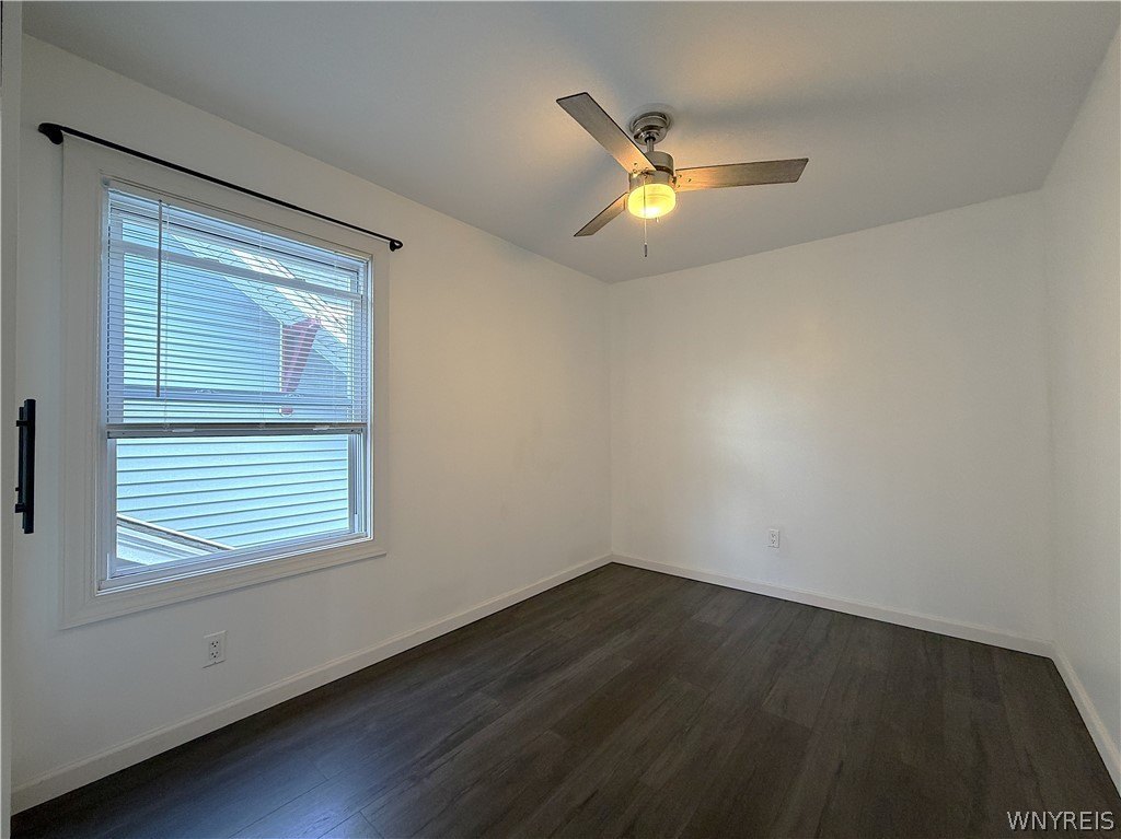Picture 31