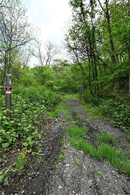 Picture 27