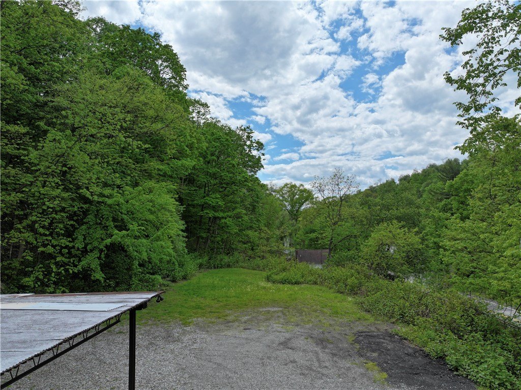 Picture 43
