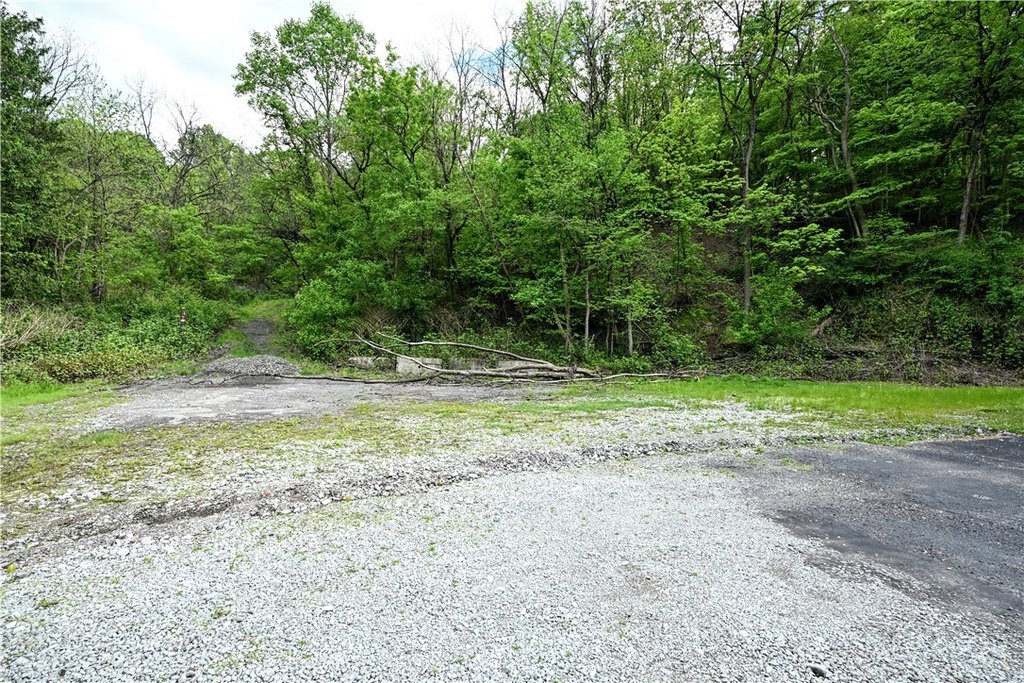 Picture 26