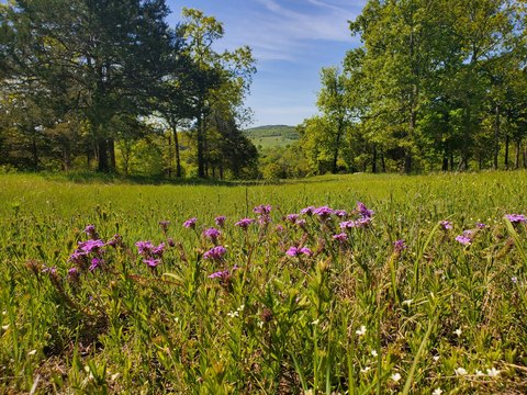 Shell Knob Acreage: Building Lots