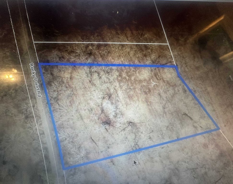 Picture 3
