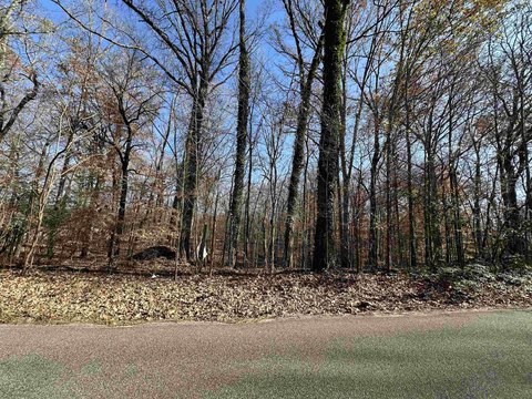 2.49 Acres Land in Memphis