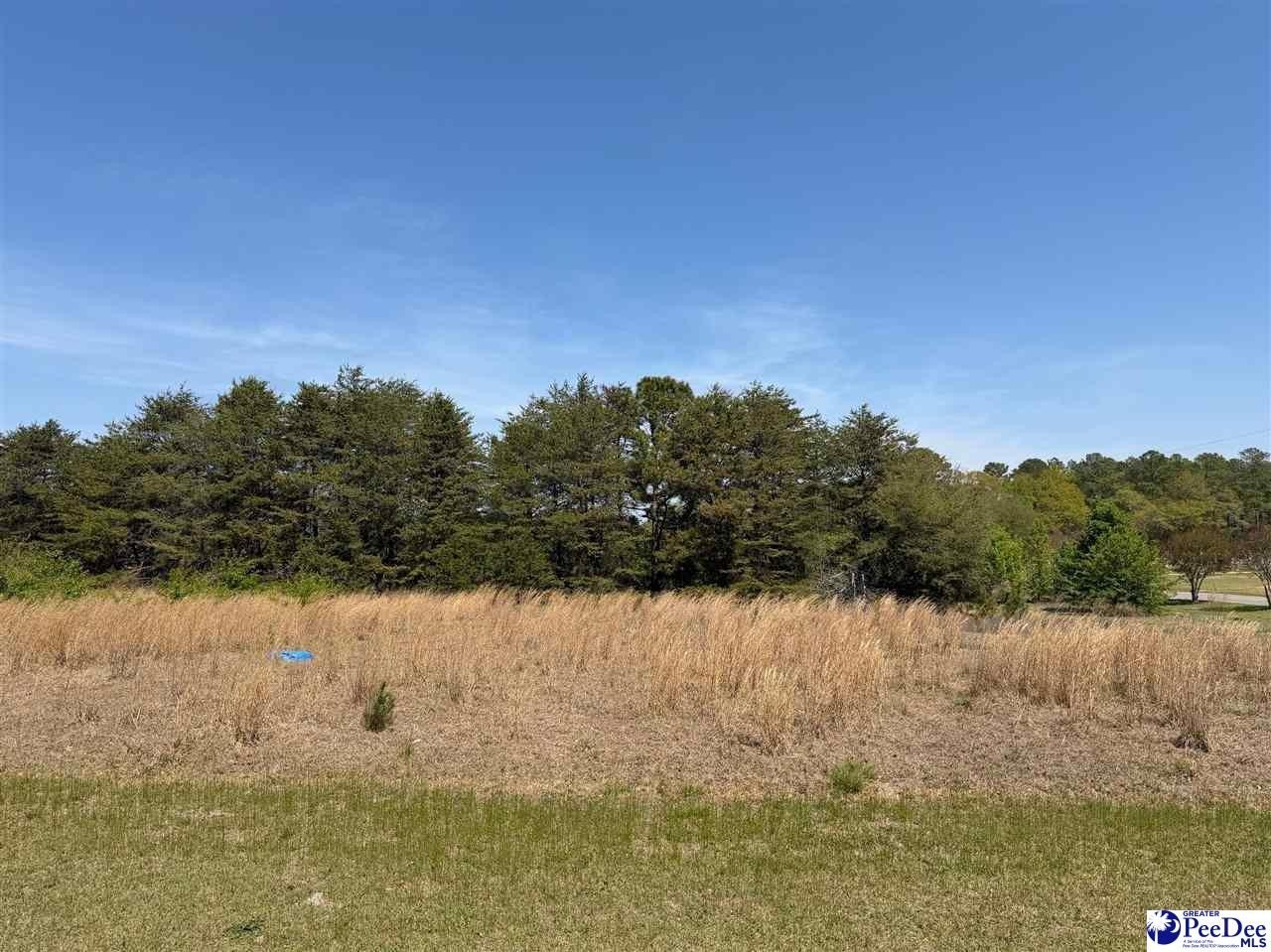 Dillon Commercial Corner Lot