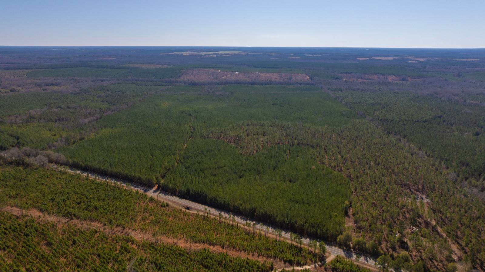 Richland, GA Vacant Land