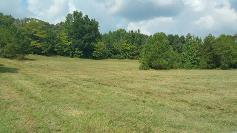 Unimproved Land Near Interstate 20