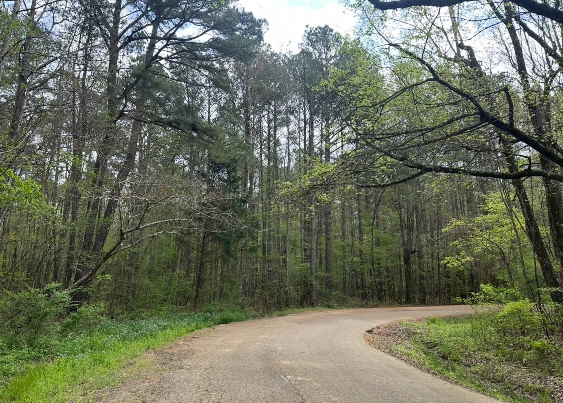 Vacant Land Near Natchez Trace