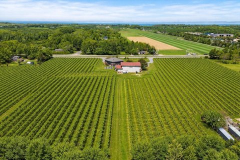 North Fork Vineyard with Tasting Room