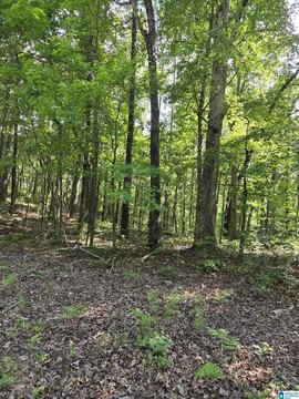 LAND - SYLACAUGA, AL