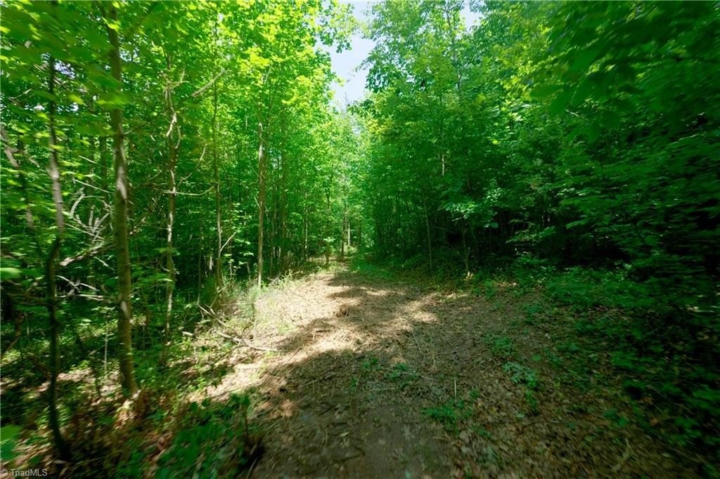 Picture 8