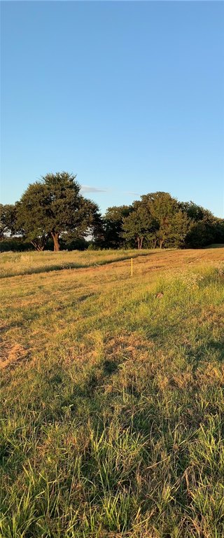 Picture 23