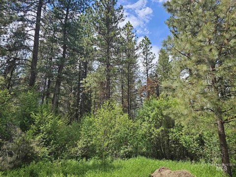 LAND - Garden Valley, ID