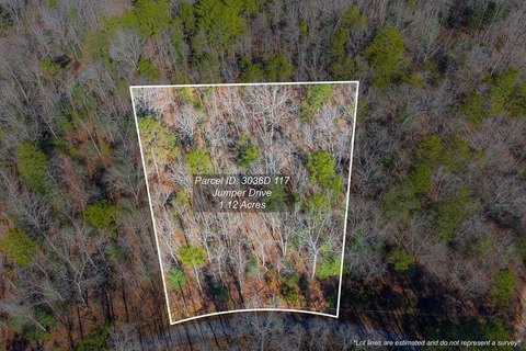 Mountain Homesite Near Carters Lake