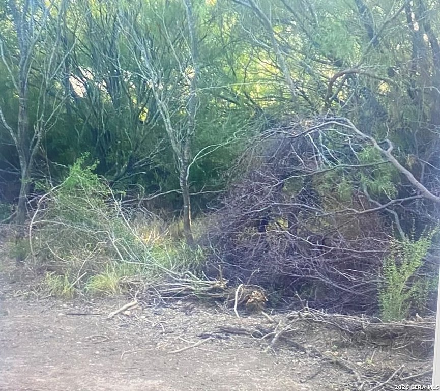 Picture 4
