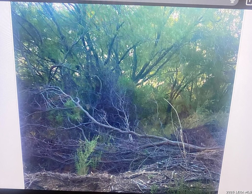 Picture 2