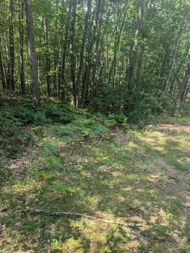 LAND - Roscommon, MI