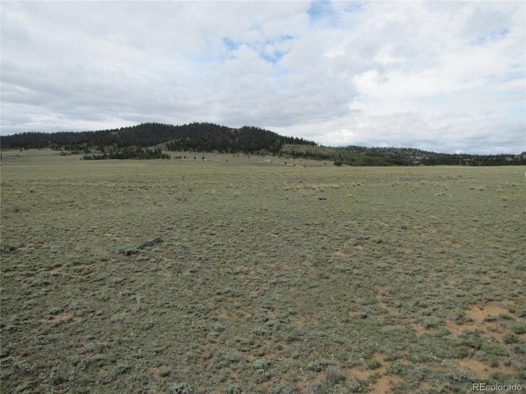 Picture 25
