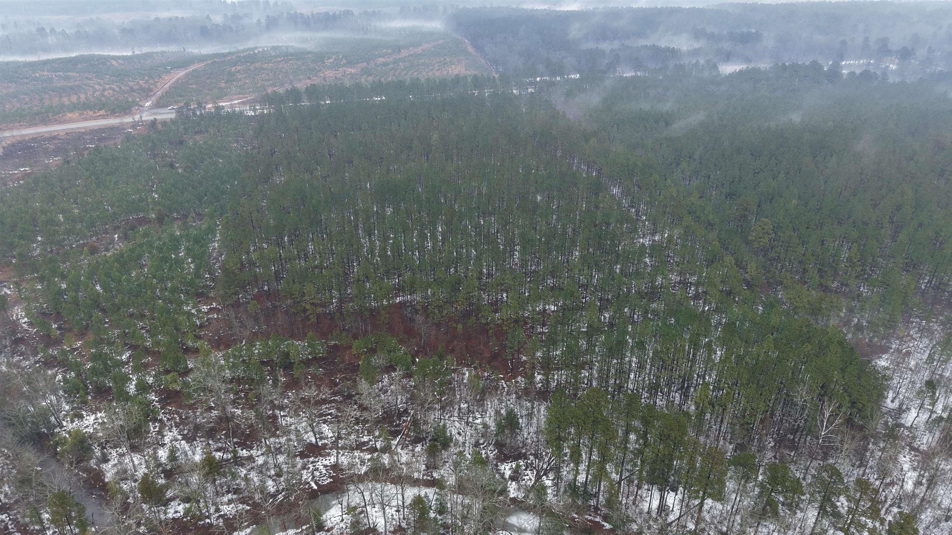 Kirby, AR Timber Investment Land