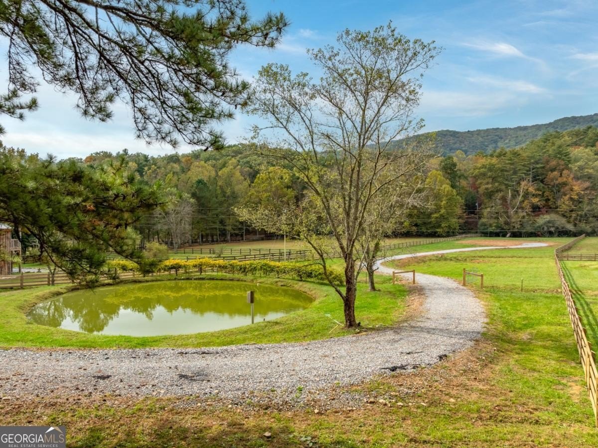 Ellijay Land with Tails Creek