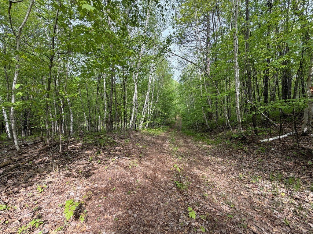 Picture 3