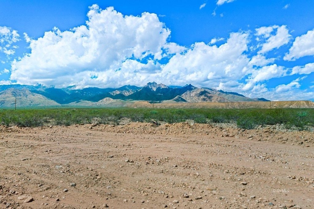 Picture 16