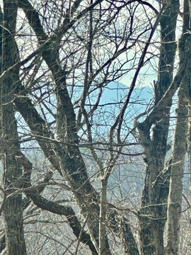 Vacant Lot, Blue Ridge, GA