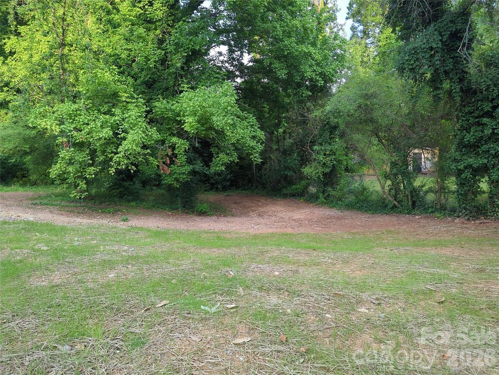 Picture 3