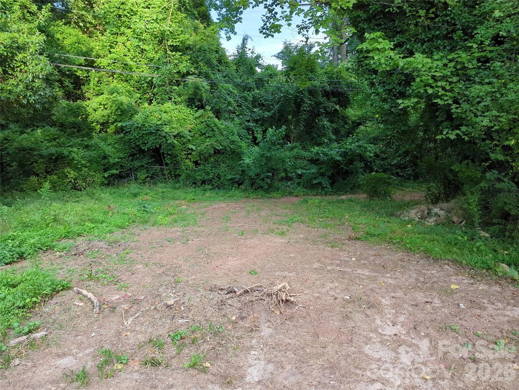 Picture 4