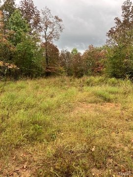 Wooded Acreage Near National Forest
