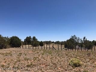 40 Acres in Seligman, Arizona