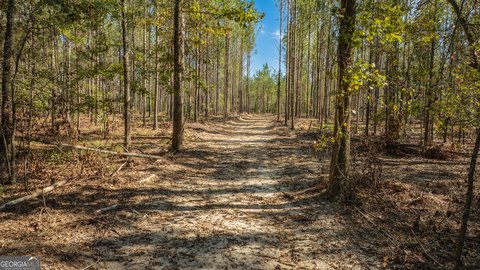 Land, Rome, GA