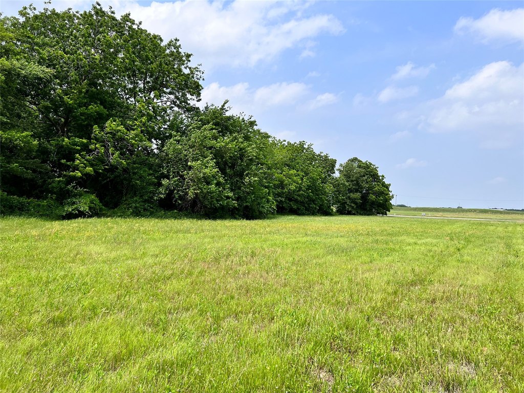 Picture 21
