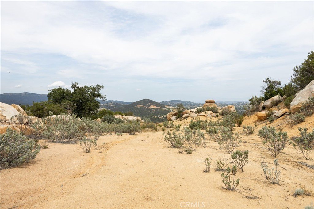 Picture 8