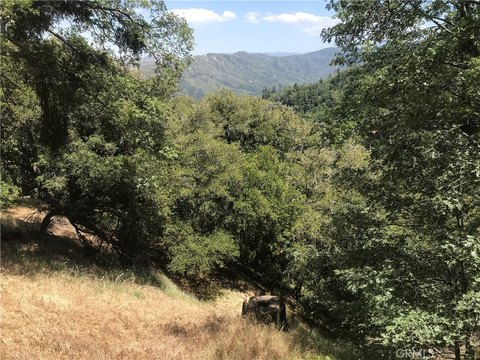 Raw Land in Cedarpines Park