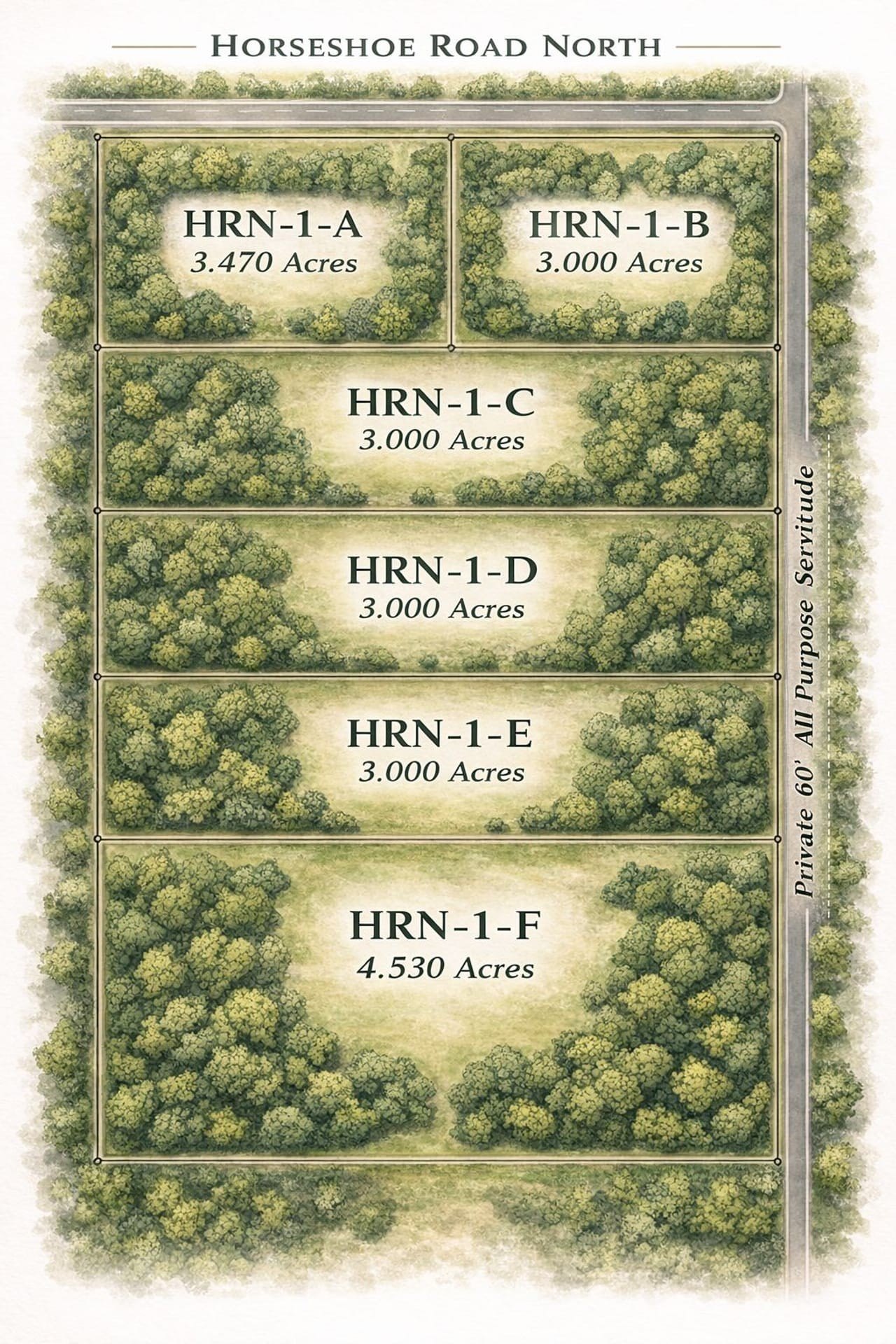 Spacious 3-Acre Vacant Land