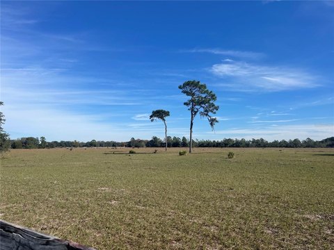 Fenced Agricultural Land