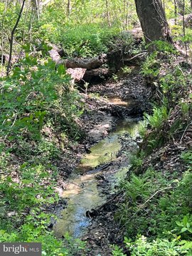 LAND - SAINT LEONARD, MD