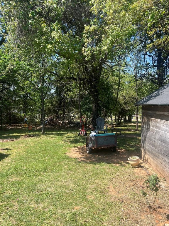 Picture 6