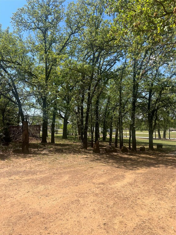 Picture 21