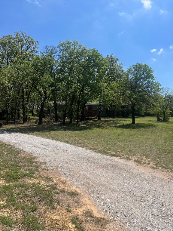 Picture 23